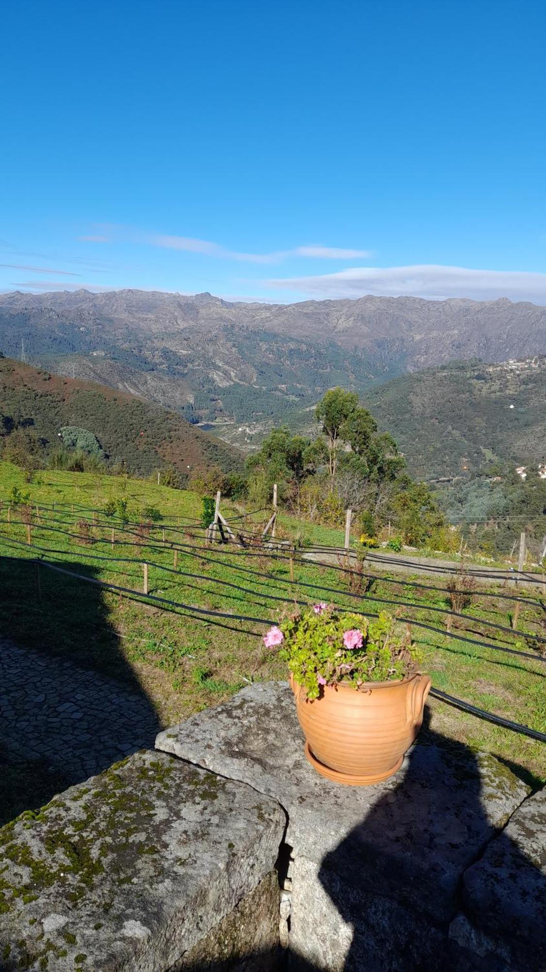 Santa Leocadia Quinta Da Riba Ma 게스트하우스 외부 사진
